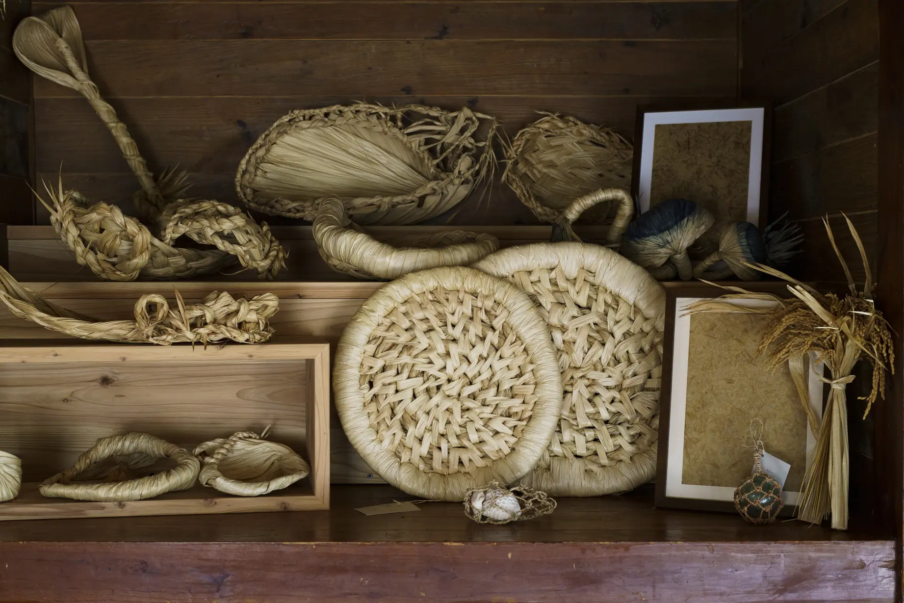 種水土花について – 種水土花